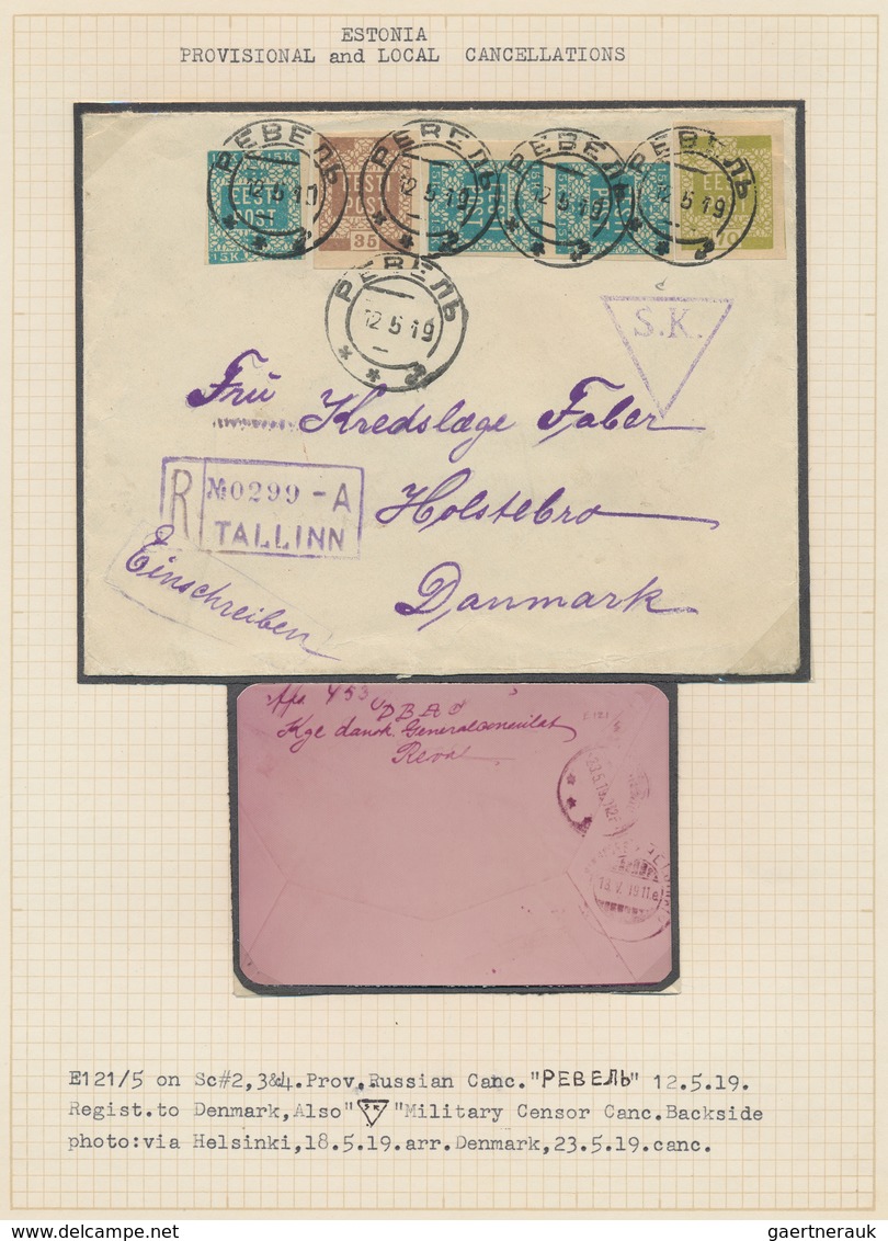 29676 Estland: 1918/1920, Specialised Collection Of Early Issues, Neatly Arranged On Written Up Pages, Com - Estland