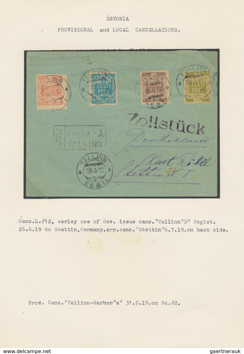 29676 Estland: 1918/1920, Specialised Collection Of Early Issues, Neatly Arranged On Written Up Pages, Com - Estland