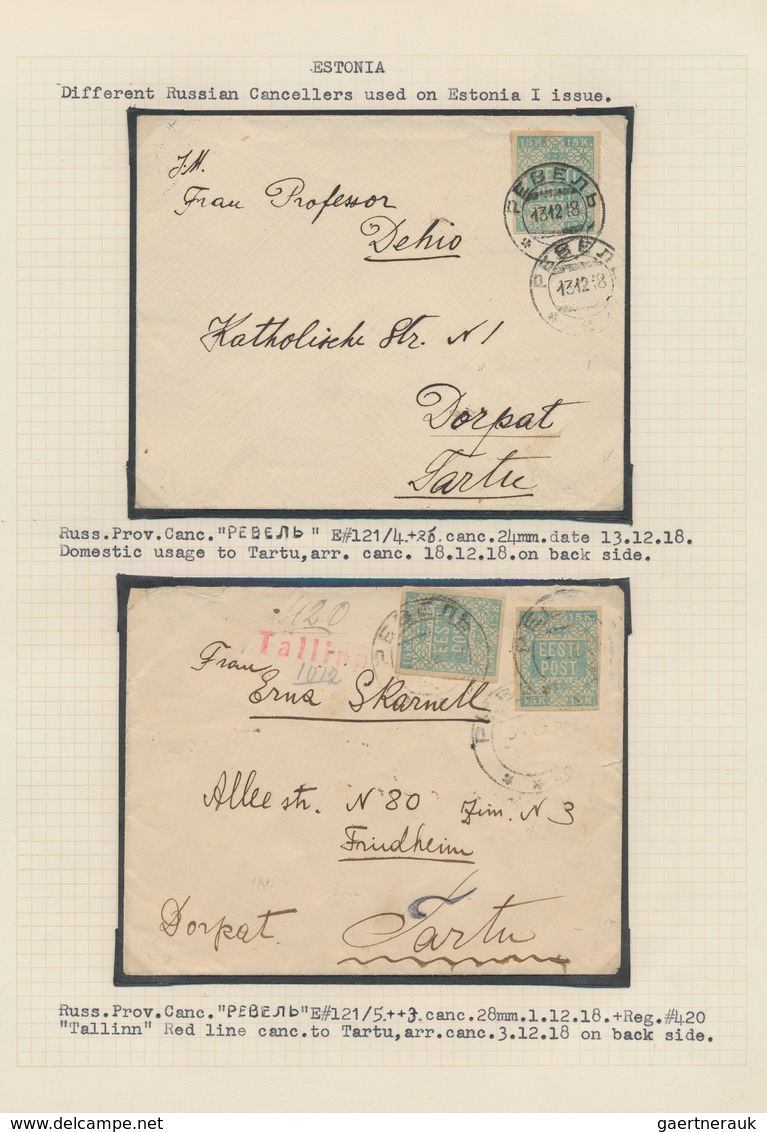29676 Estland: 1918/1920, specialised collection of early issues, neatly arranged on written up pages, com