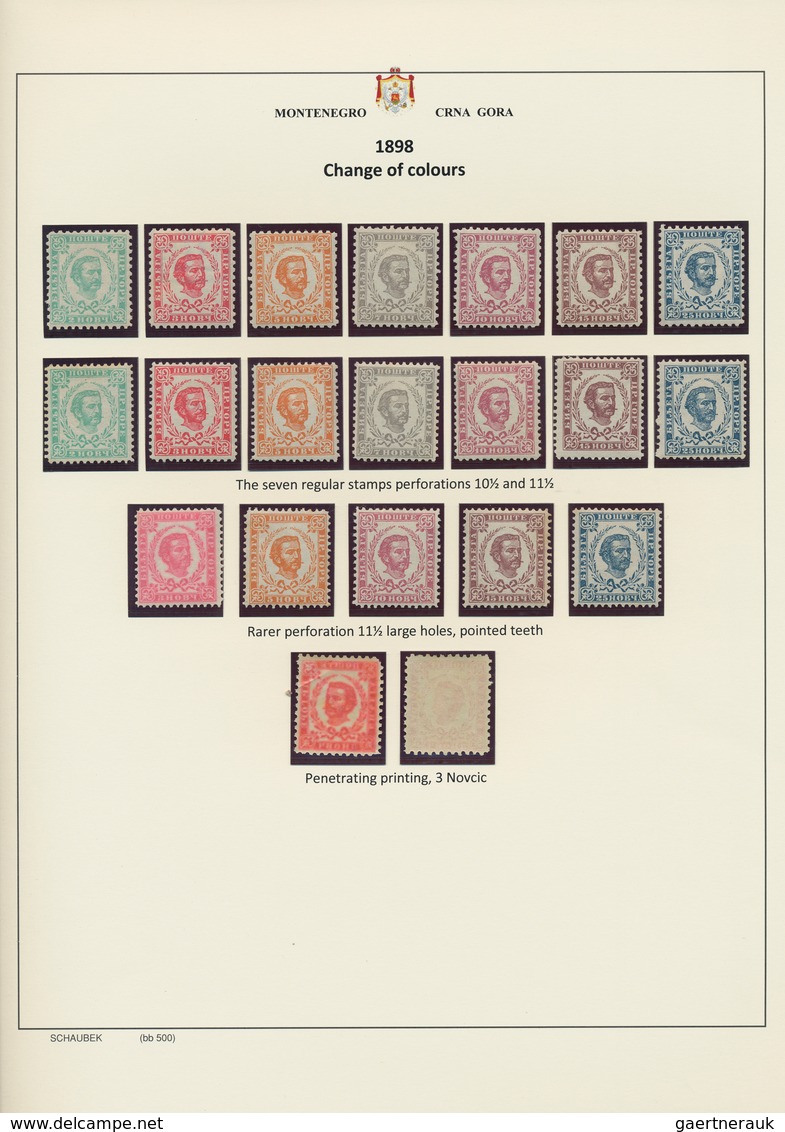29815 Montenegro: 1873/1913: Nice, Specialized Collection With Perforations, Overprint Errors, Varieties, - Montenegro
