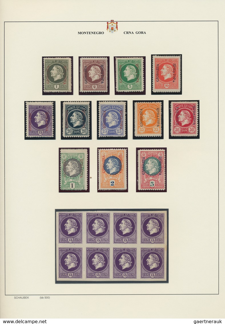 29815 Montenegro: 1873/1913: Nice, Specialized Collection With Perforations, Overprint Errors, Varieties, - Montenegro