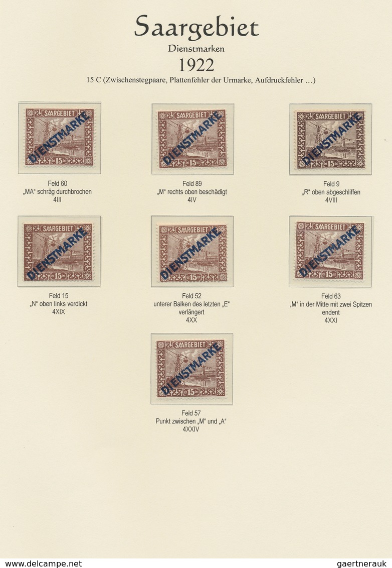 31916 Deutsche Abstimmungsgebiete: Saargebiet - Dienstmarken: 1923 - 1929, Umfangreiche Sammlung Von Diens - Dienstzegels