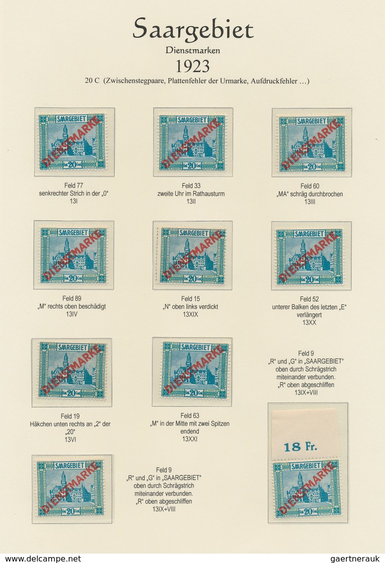 31916 Deutsche Abstimmungsgebiete: Saargebiet - Dienstmarken: 1923 - 1929, Umfangreiche Sammlung Von Diens - Dienstmarken