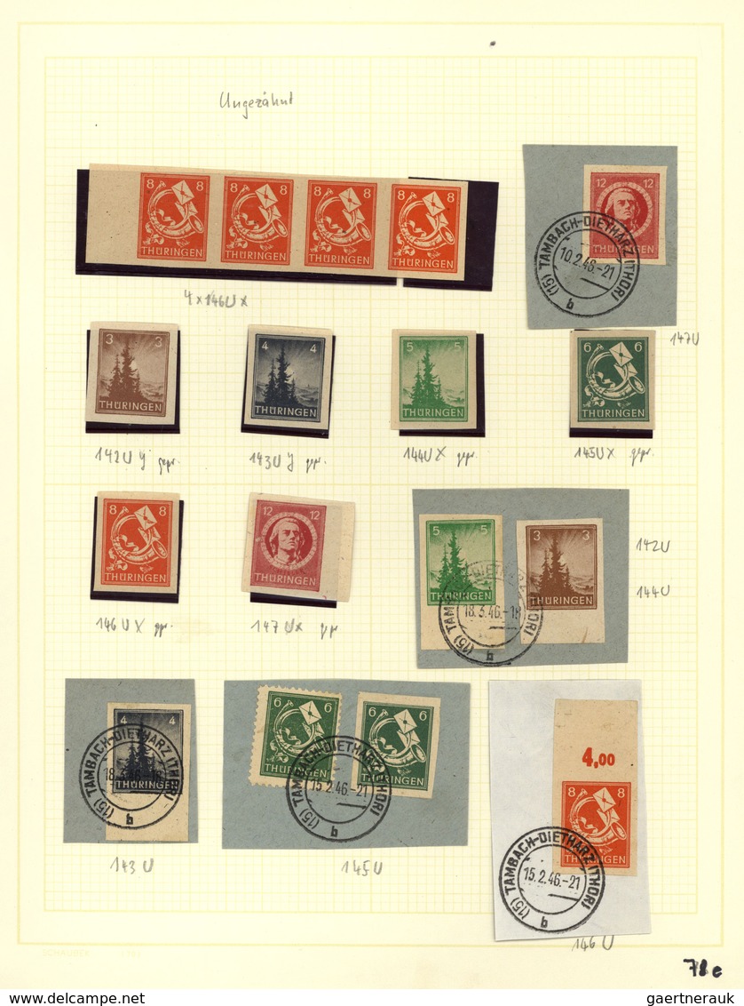 32146 Deutschland nach 1945: 1945-1949, tolle Sammlung ab Lokalausgaben, mit starkem Teil SBZ, Blöcken, fr
