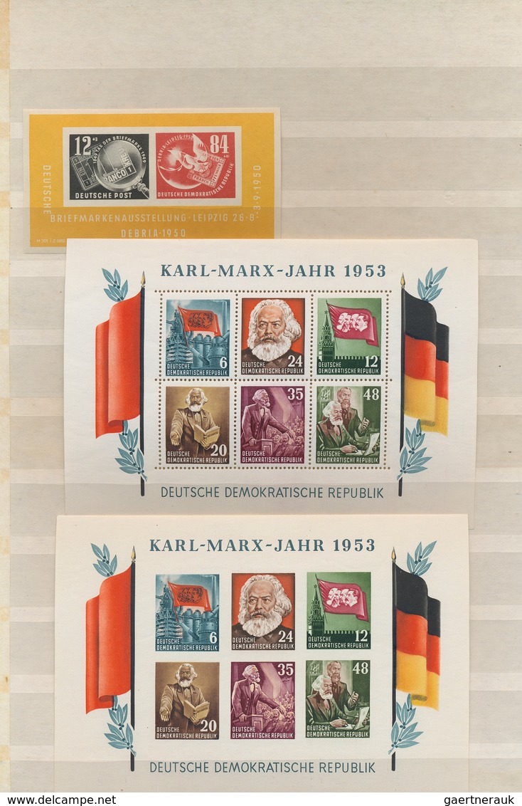 32317 DDR: 1949/1963, Postfrische/ungebrauchte Sammlung Im Steckbuch Mit Augensscheinlich Allen Besseren A - Andere & Zonder Classificatie