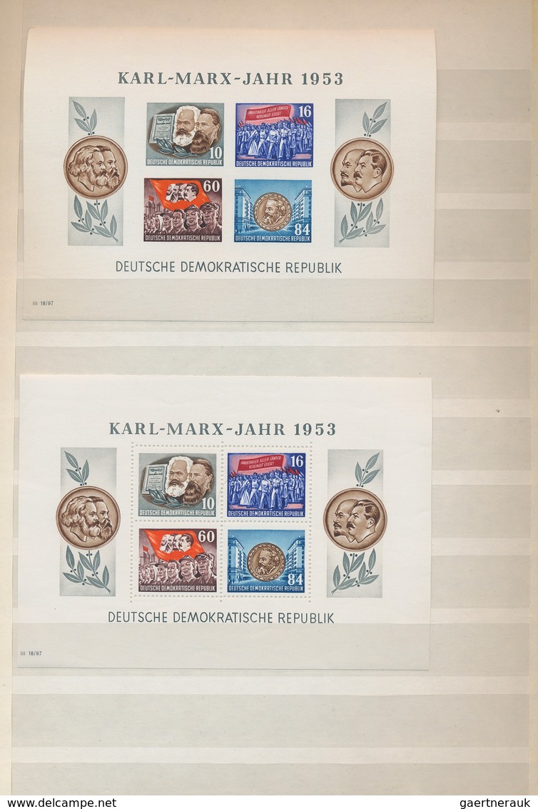 32317 DDR: 1949/1963, Postfrische/ungebrauchte Sammlung Im Steckbuch Mit Augensscheinlich Allen Besseren A - Sonstige & Ohne Zuordnung
