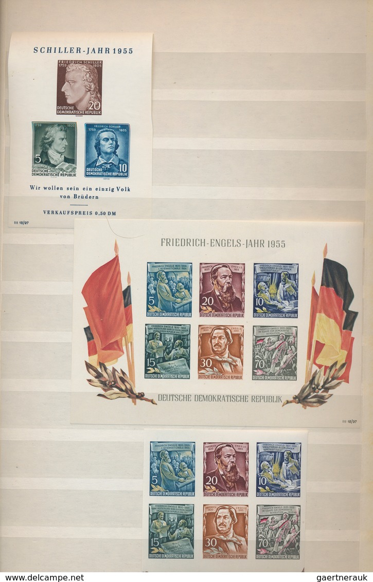 32317 DDR: 1949/1963, postfrische/ungebrauchte Sammlung im Steckbuch mit augensscheinlich allen besseren A