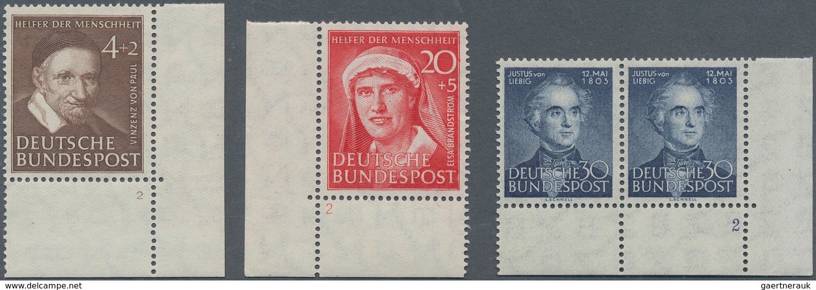 32658 Bundesrepublik Deutschland: 1948/1959, BOGENECKEN/OBERRÄNDER, Postfrische Spezialpartie (ab Etwas Bi - Andere & Zonder Classificatie