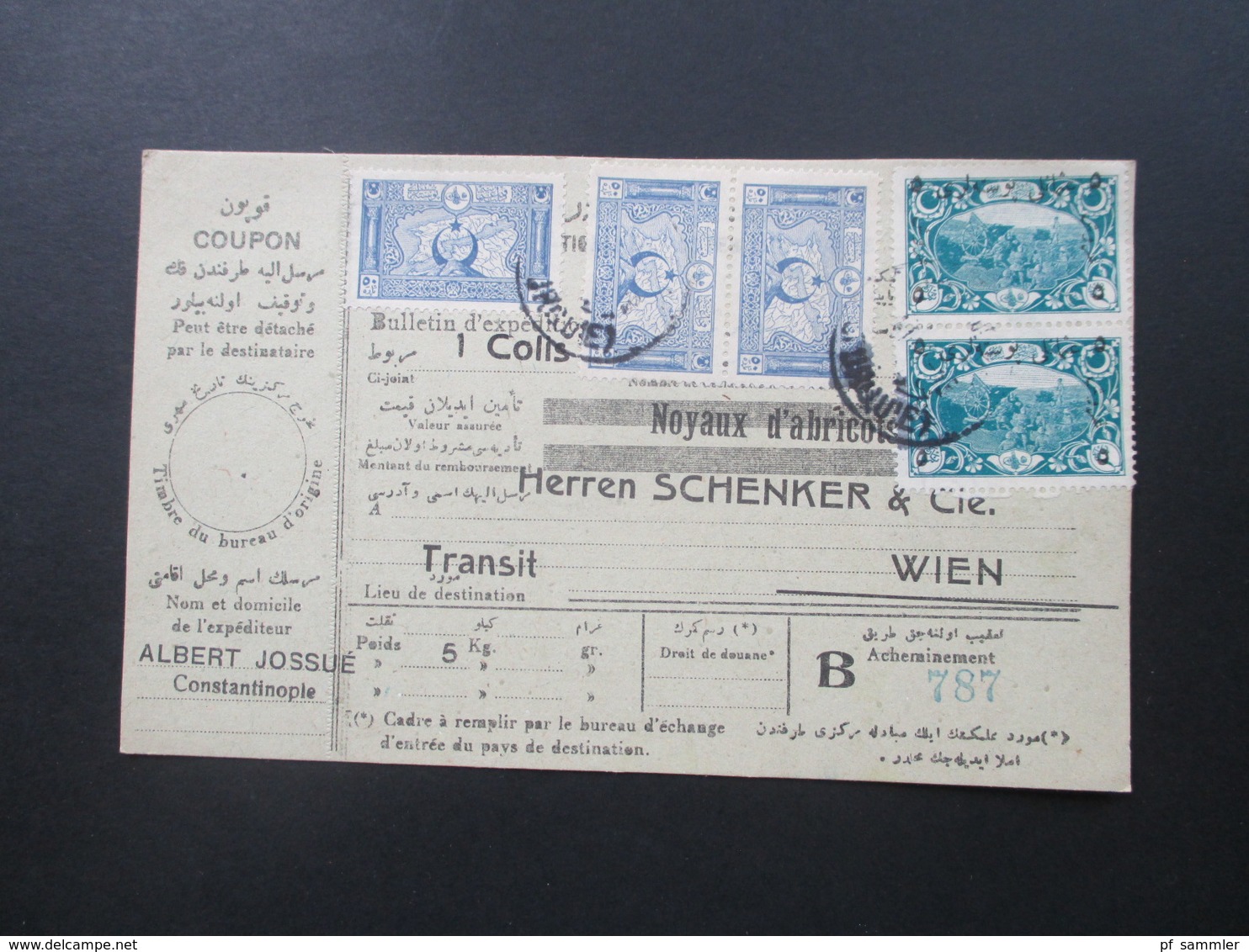 Türkei 1919 Paketkarte Schöne Frankatur! Noyaux D'abricots Schenker & Cie In Wien. Transit. Albert Jossue Constantinople - Briefe U. Dokumente