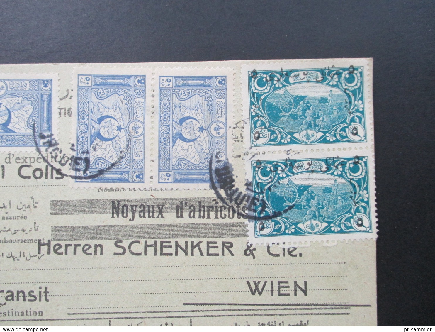 Türkei 1919 Paketkarte Schöne Frankatur! Noyaux D'abricots Schenker & Cie In Wien. Transit. Albert Jossue Constantinople - Briefe U. Dokumente