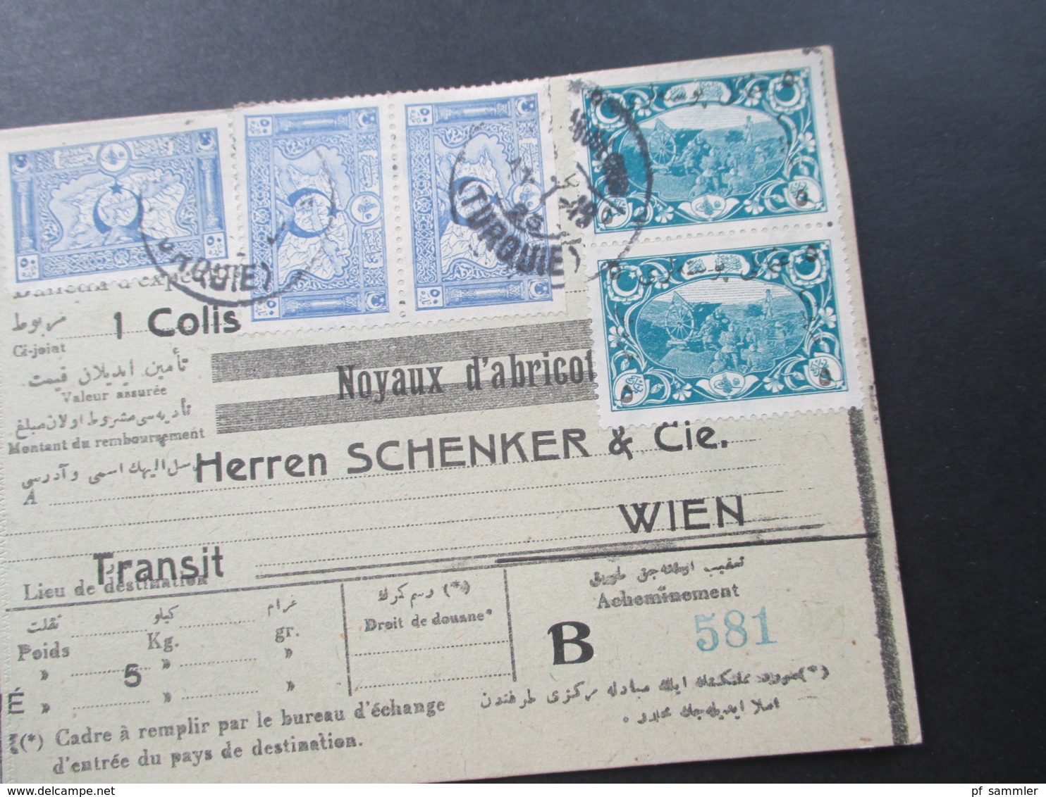 Türkei 1919 Paketkarte Schöne Frankatur! Noyaux D'abricots Schenker & Cie In Wien. Transit. Albert Jossue Constantinople - Cartas & Documentos