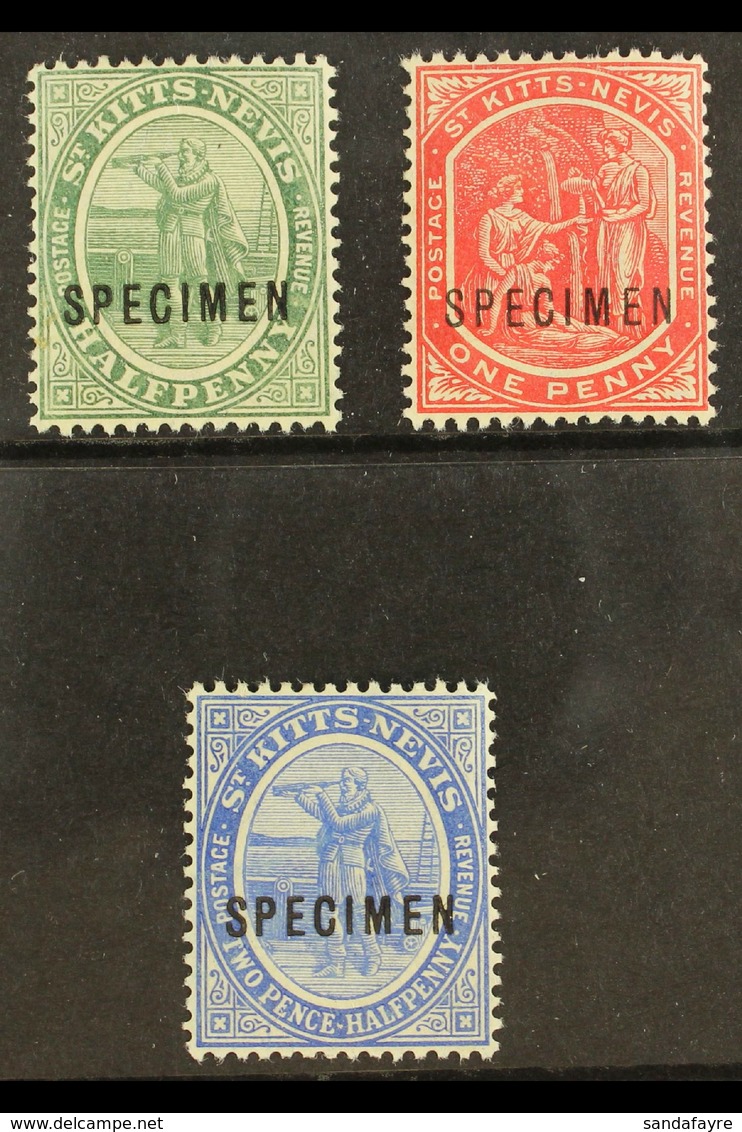1905  ½d Green, 1d Carmine And 2½d Bright Blue, Ovptd "Specimen", SG 12s, 14s, 17s, Very Fine Mint. (3 Stamps) For More  - St.Kitts En Nevis ( 1983-...)