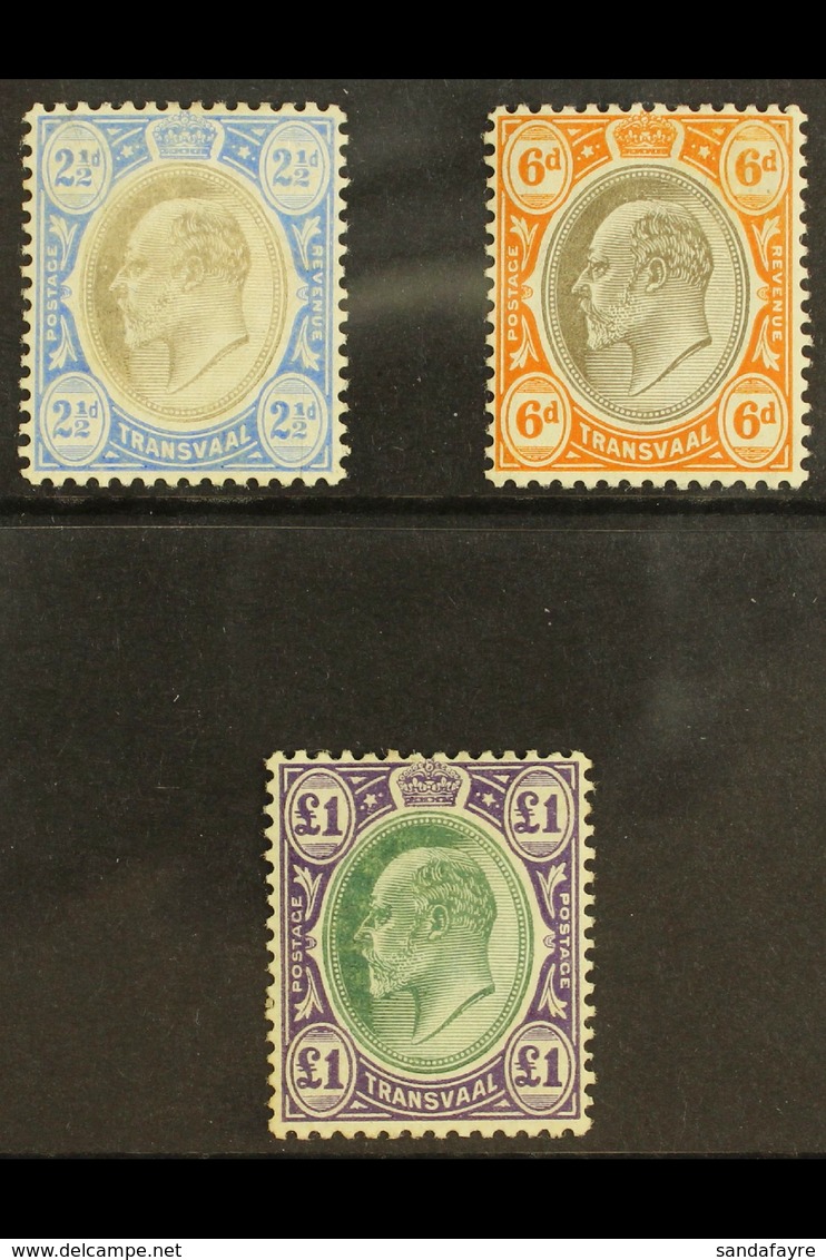 TRANSVAAL  1904 - 09 2½d, 6d And £1 On Chalk Paper, SG 253b, 266a, 272a, All Very Fine And Fresh Mint. (3 Stamps) For Mo - Sin Clasificación