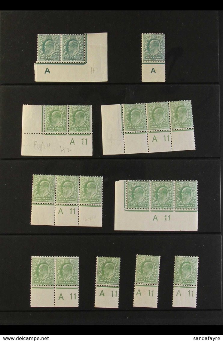 1902-11  ½d Green CONTROL NUMBERS. A Collection Of Mint Singles, Pairs & Corner Strips 3 With Marginal Controls From A T - Sin Clasificación