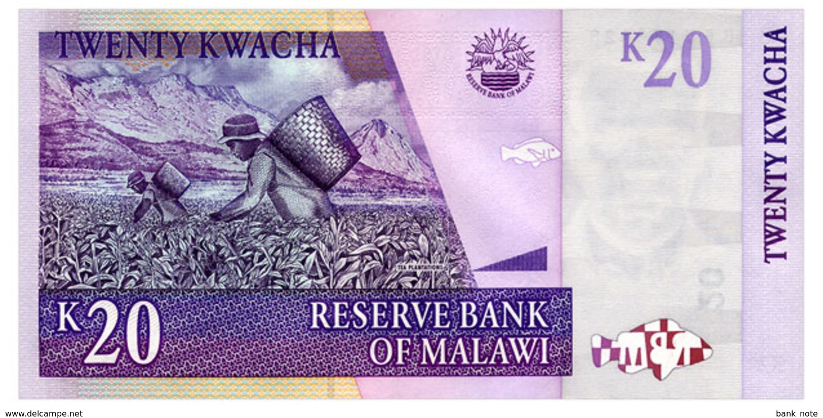 MALAWI 20 KWACHA 2007 Pick 52c Unc - Malawi