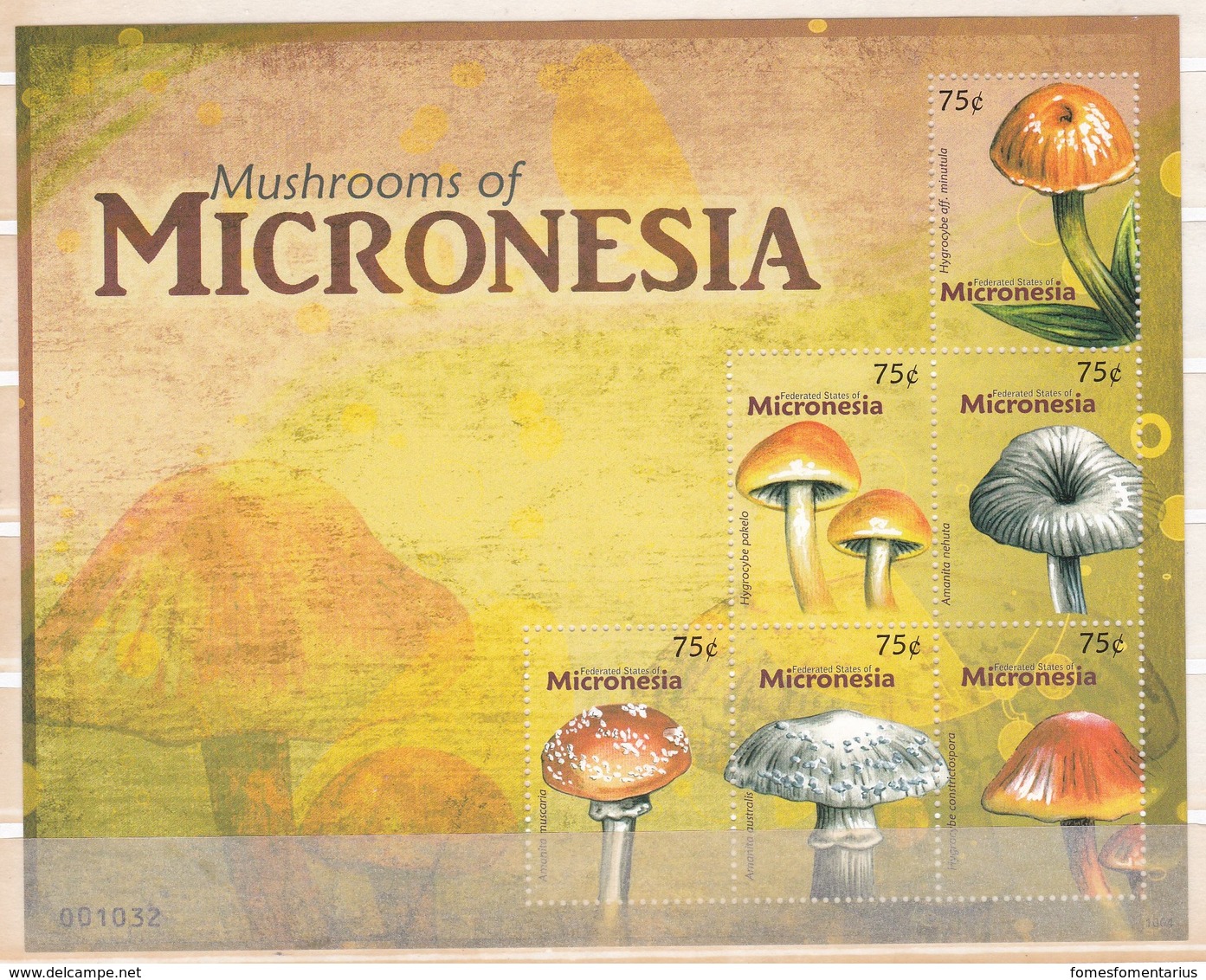 Feuillet De 6 Valeurs Neuves ** De Micronésie Champignons Mushroom Setas Pilze - Champignons