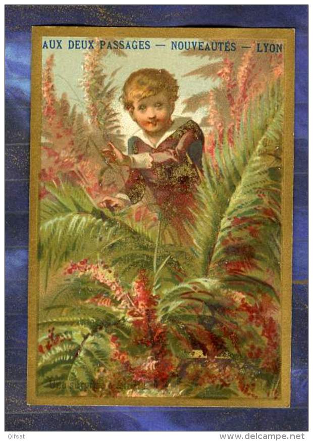 Chromo Deux Passages Lyon Ferns Garçon Boy Surprise Nature Old Trade Card - Autres & Non Classés