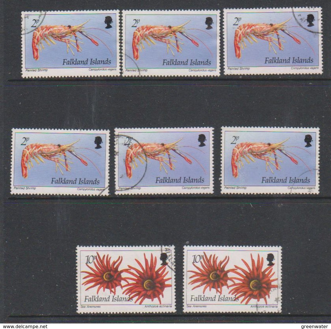 Falkland Islands 1994 Marine Life 8v  Used   (38844F) - Falkland Islands