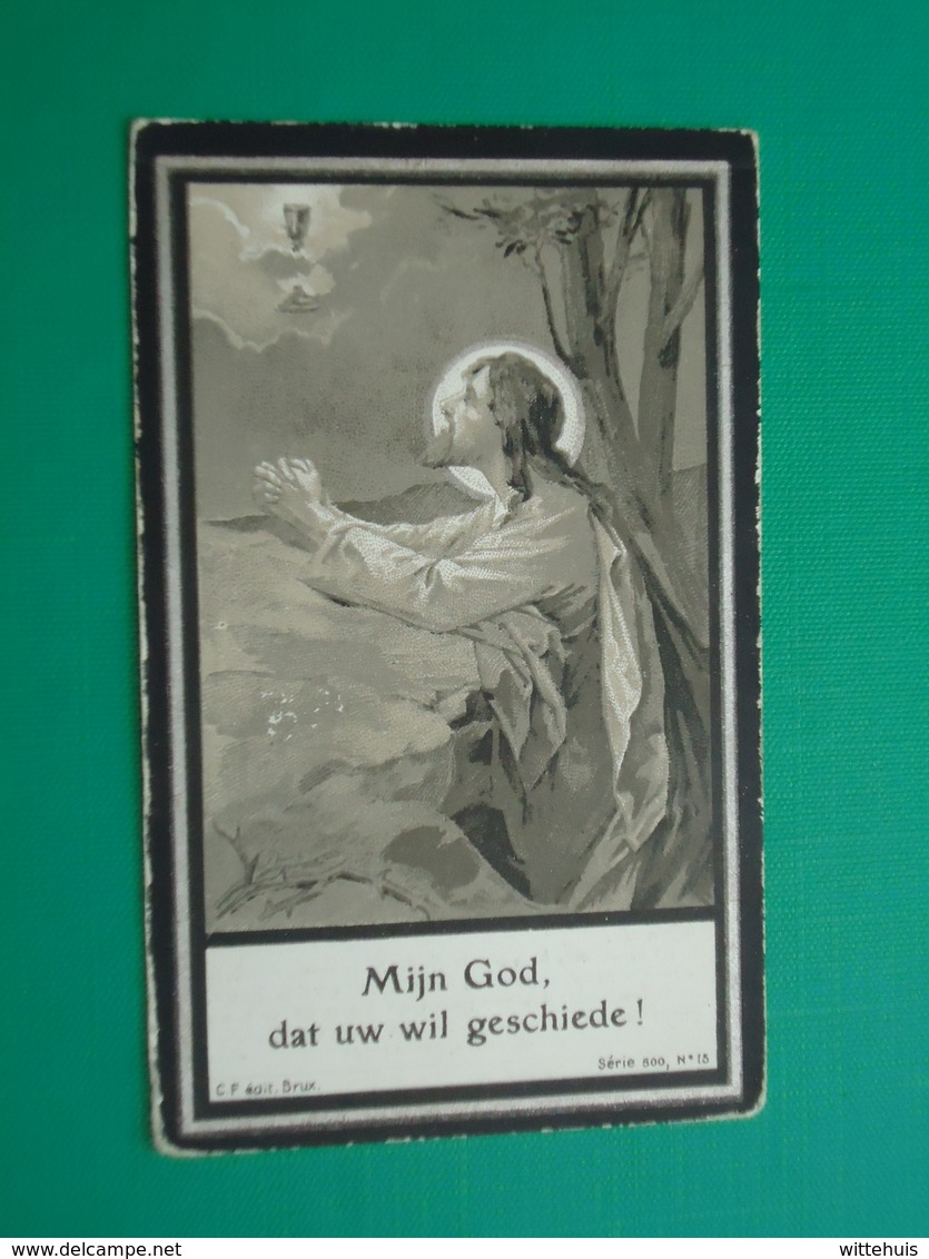 EmmaCastel - Riozzi Geboren Te Molenbeek 1859 En Overleden Te Blankenberghe 1927   (2scans) - Religion & Esotericism