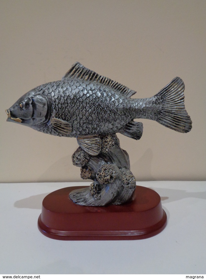 Trofeo De Pesca. Escultura De Una Carpa Plateada Sobre Base De Madera. - Otros & Sin Clasificación