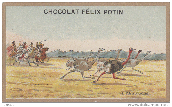 Chromos - Chasse - Chocolat Félix Potin - Autruche - Afrique Nord - Fantasia Cavalerie - Other & Unclassified