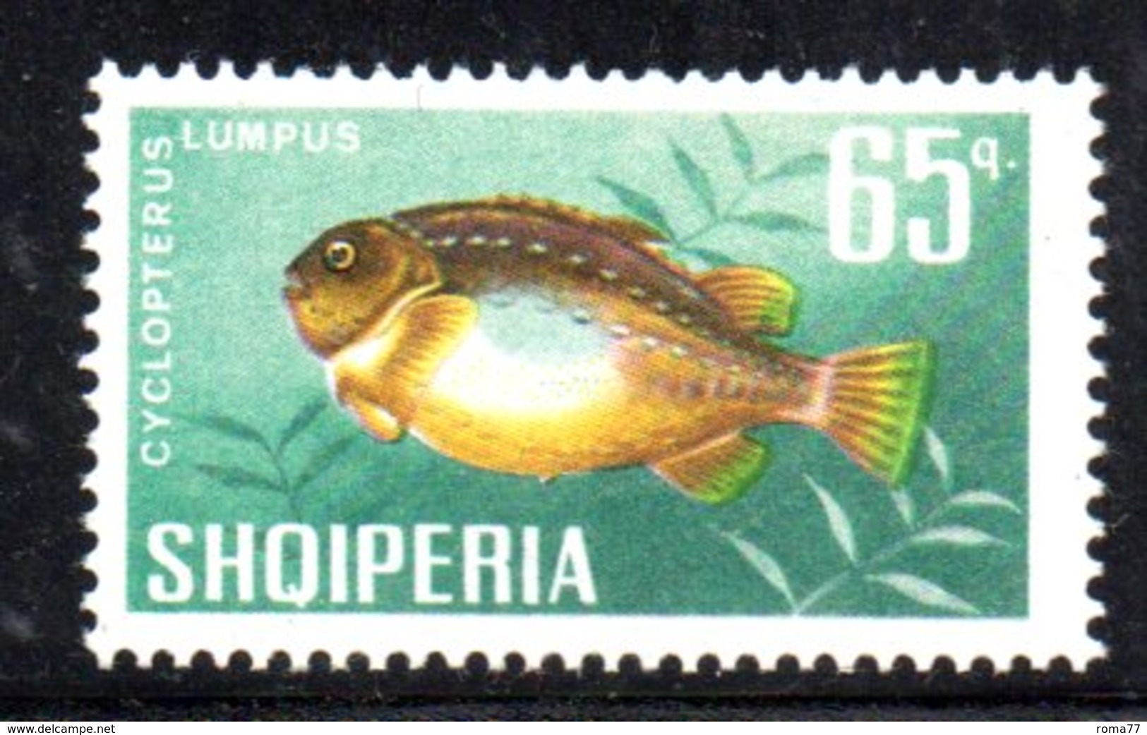 407 - 490 - ALBANIA 1967 , Yvert N. 959  *** MNH Pesci Fish - Albania