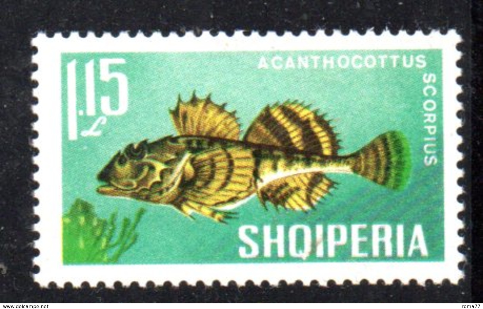 409 - 490 - ALBANIA 1967 , Yvert N. 961  *** MNH Pesci Fish - Albania