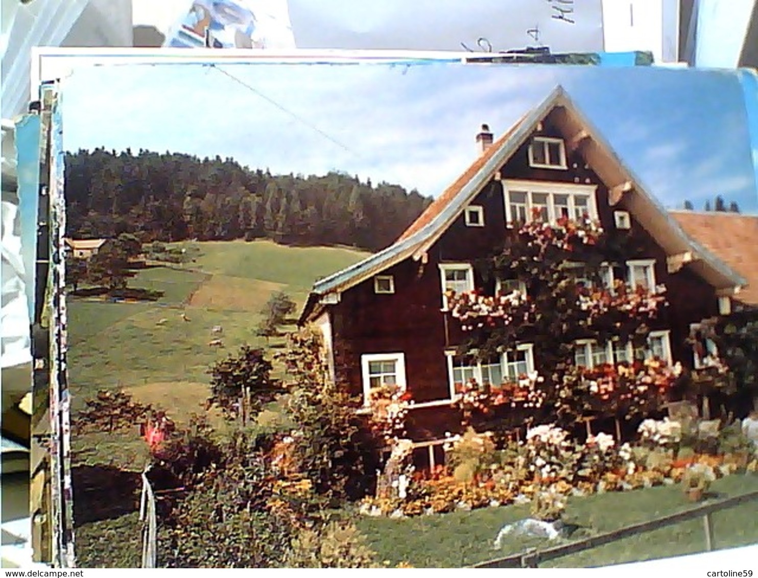 Suisse  SVIZZERA SUISSE SWITZERLAND - Puraheimetli In Der Ostschweiz  VB1970 GR1202 - Pura