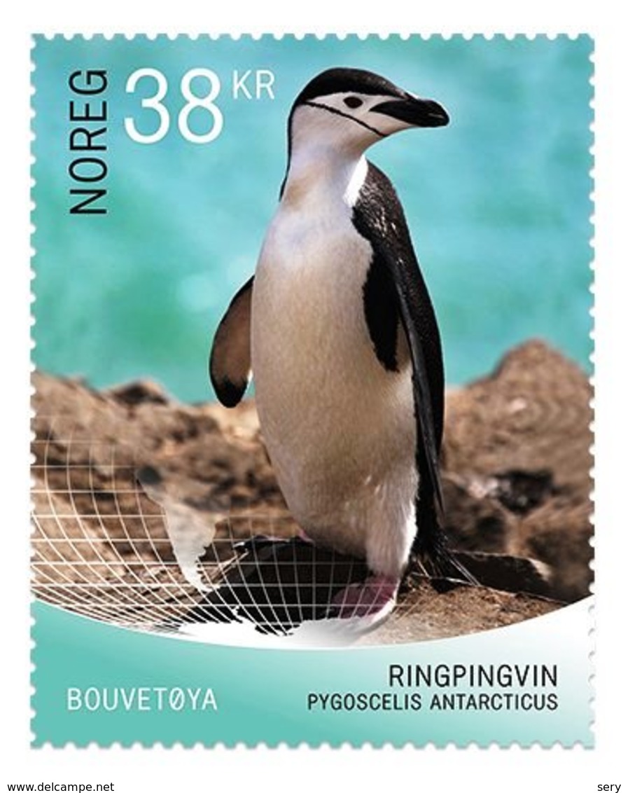 Norway 2018 1 V MNH Self-adhesive Birds 	Chinstrap Penguin (Pygoscelis Antarcticus) - Pinguini