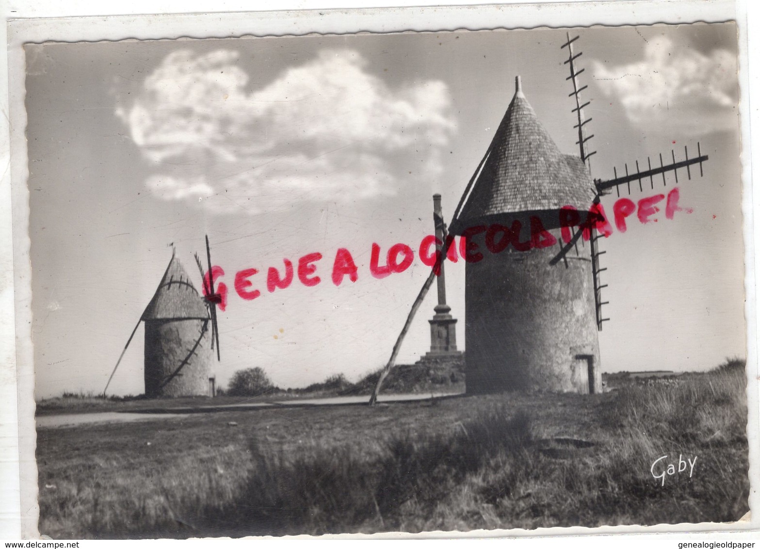 85 - LES HERBIERS - LE MONT DES ALOUETTES - LES VIEUX MOULINS - MOULIN A VENT  MOLEN - Les Herbiers