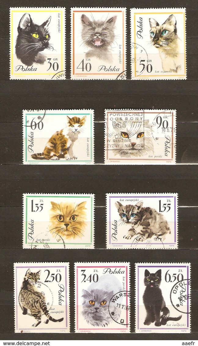 Pologne 1964 - Chats -  Série Complète° - 1332/41 - Oblitérés