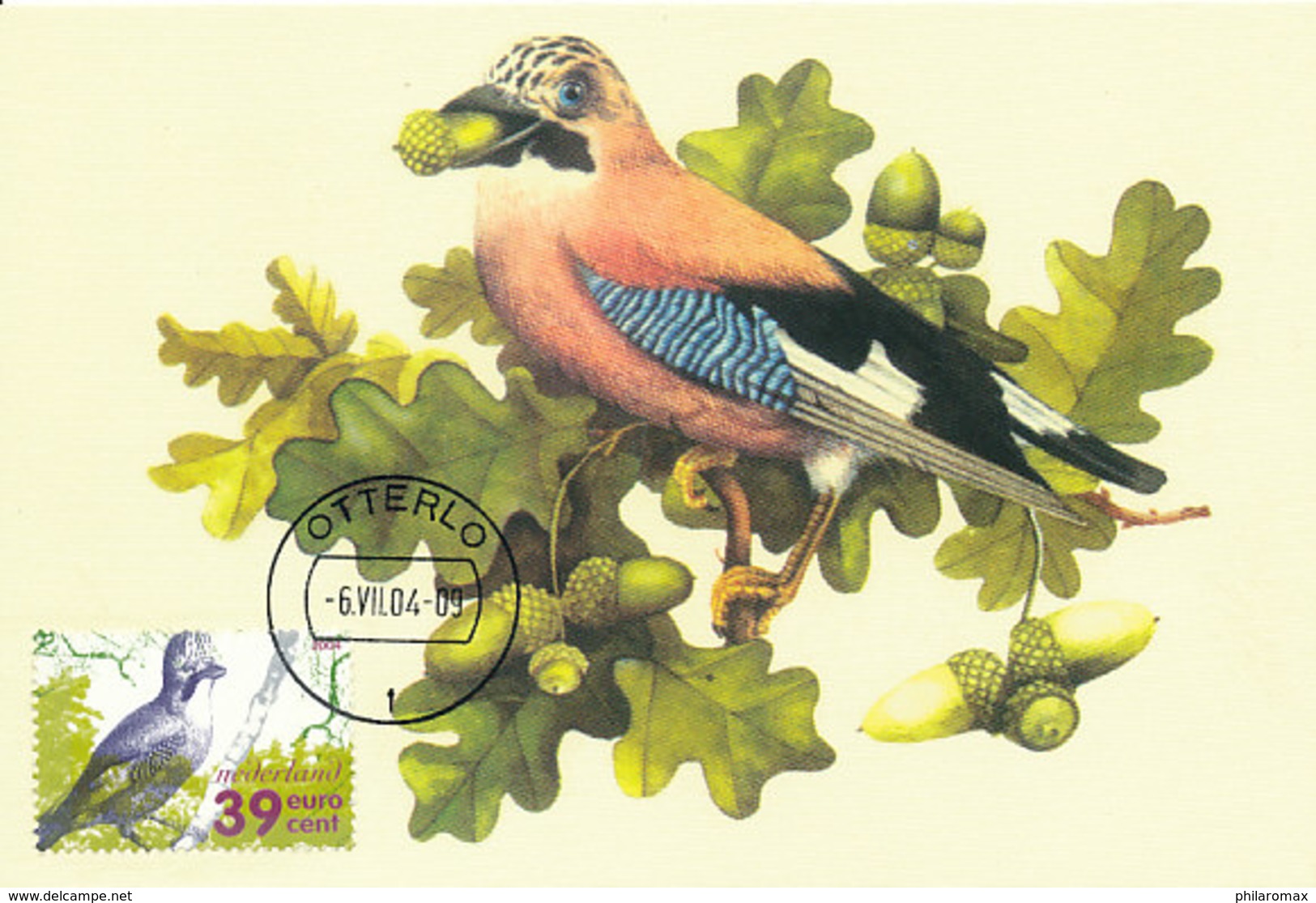 D33952 CARTE MAXIMUM CARD FD 2004 NETHERLANDS - EURASIAN JAY VLAAMSE GAAI GEAI CP ORIGINAL - Songbirds & Tree Dwellers