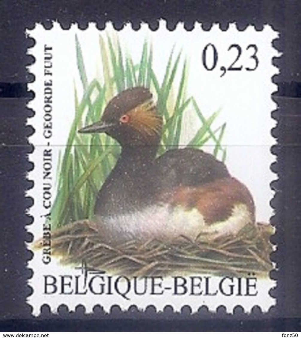 BELGIE * Buzin * Nr 3546 * Postfris Xx *  HELDER FLUOR PAPIER - 1985-.. Oiseaux (Buzin)