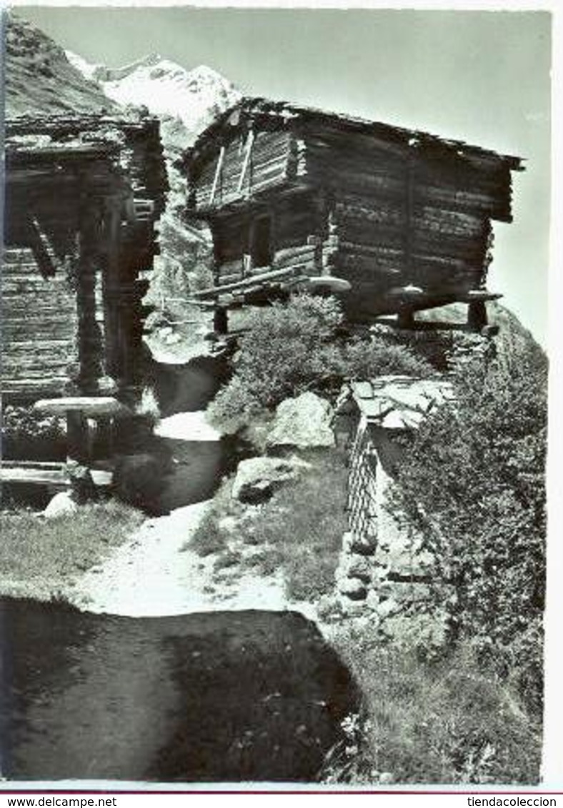 Zermatt.- Winkelmatten, Matterhorn - Matten Bei Interlaken