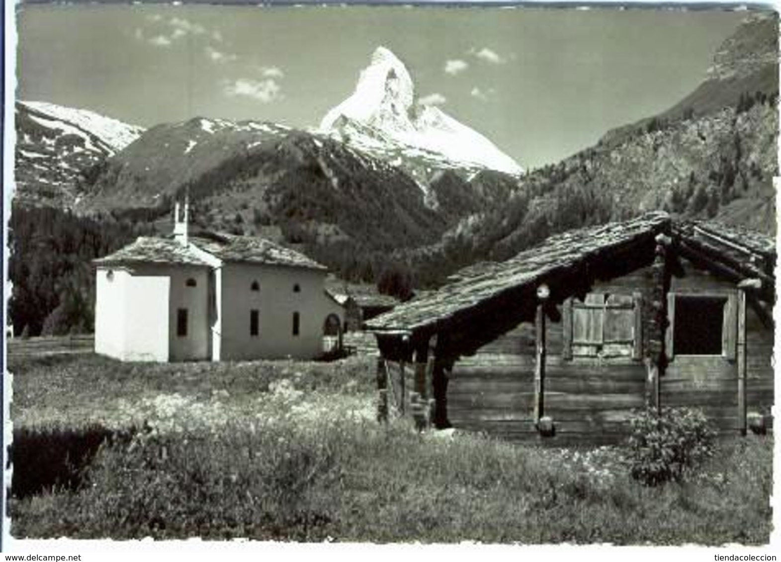 Zermatt.- Winkelmatten U. Matterhorn - Matten Bei Interlaken