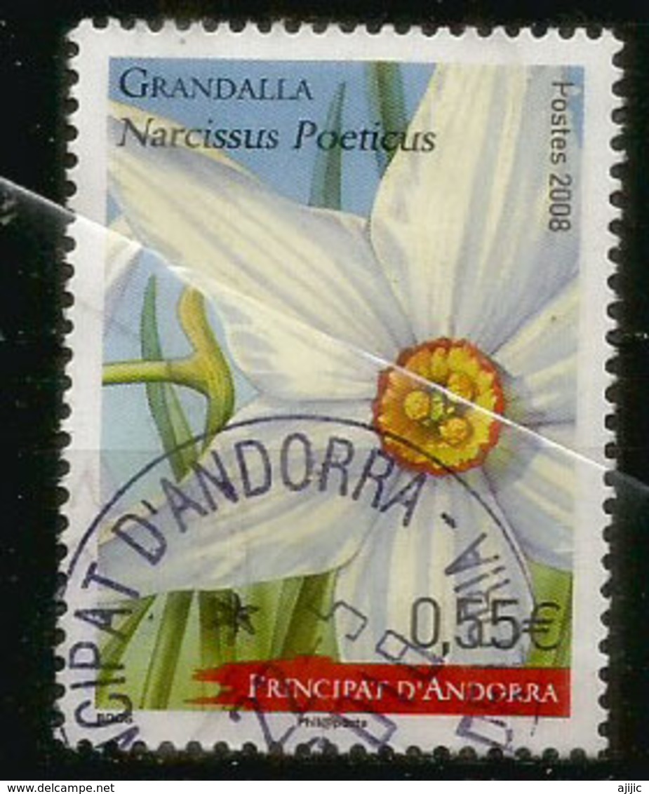 ANDORRA.Fleurs D'Andorre: La Narcisse Des Poètes, Un Timbre  Oblitéré 1 ère Qualité 2008 - Gebraucht