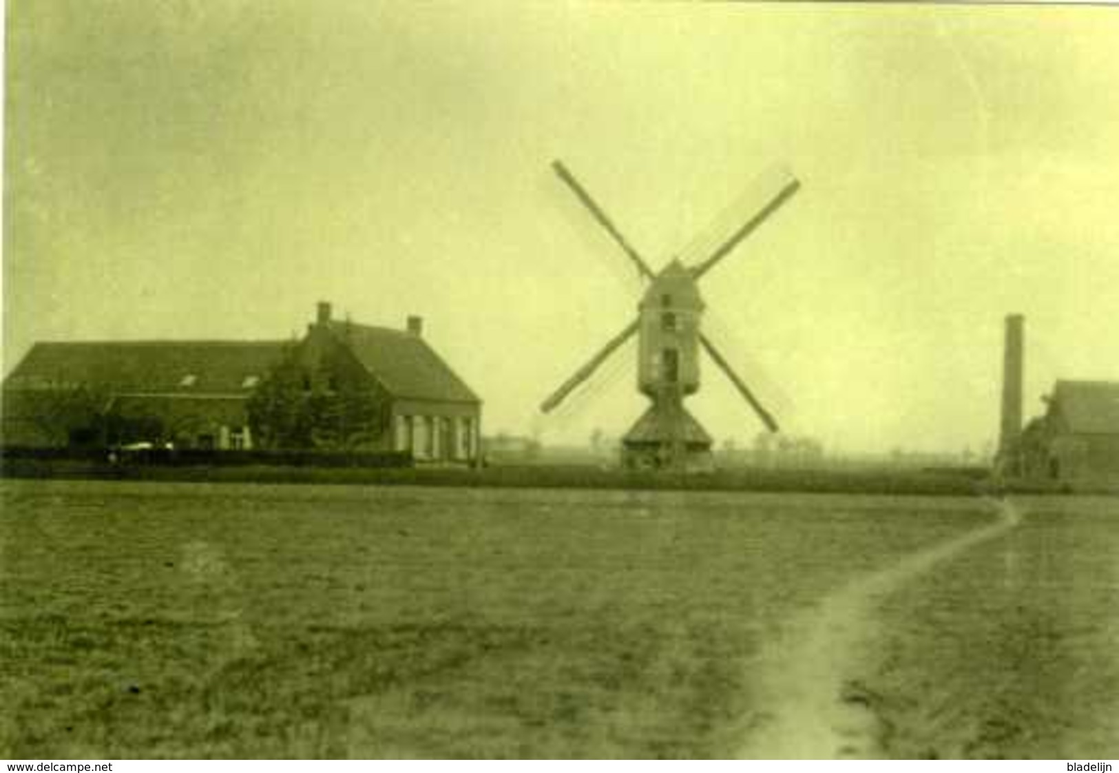 RIJKEVORSEL (Antwerpen) - Molen/moulin - Zeldzame Oude Opname Van De Verdwenen Staakmolen En Stoommaalderij Ca. 1930 - Rijkevorsel