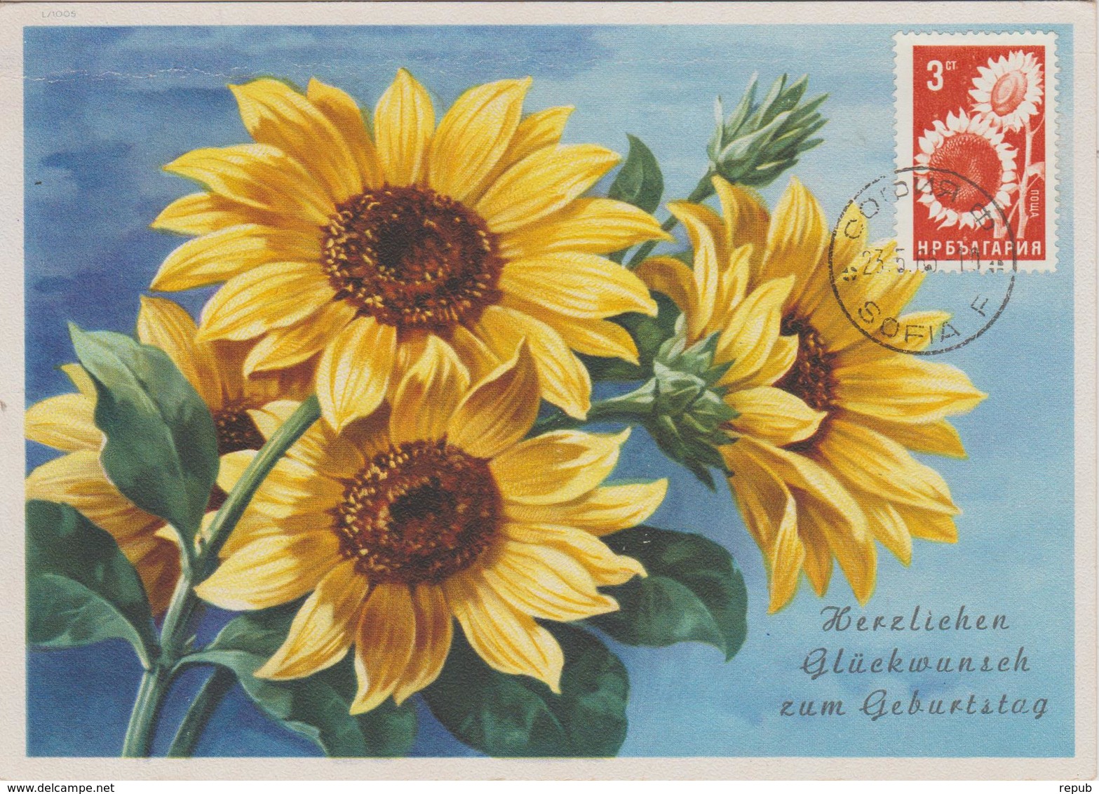 Bulgarie Carte Maximum Produits Agricoles 1965 Tournesol 1336 - Storia Postale