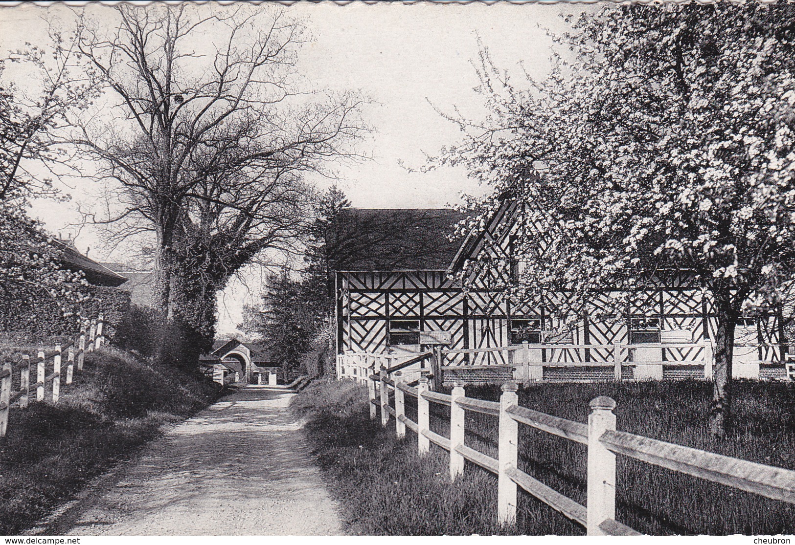 14. SAINT JULIEN LE FAUCON .RARETÉ . LESSARD ET LE CHÊNE. HARAS DE M. PRAT. ANNÉE 1956 - Autres & Non Classés