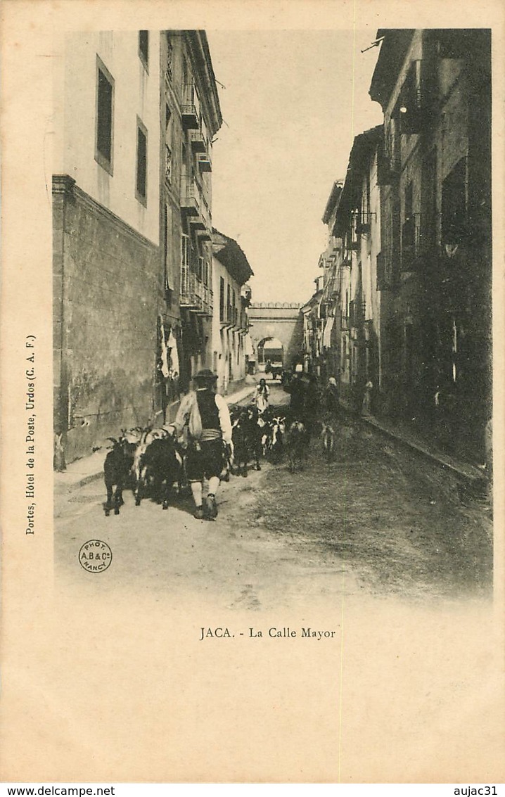 Espagne - Spain - Espana - Aragon - Animaux - Chèvres - Goat - Jaca - La Calle Mayor - état - Autres & Non Classés