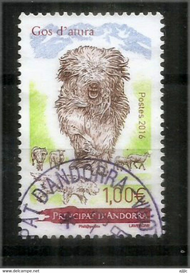 ANDORRA. Le Chien De Berger Des Pyrénées, Un Timbre Oblitéré (cachet Rond) - Used Stamps