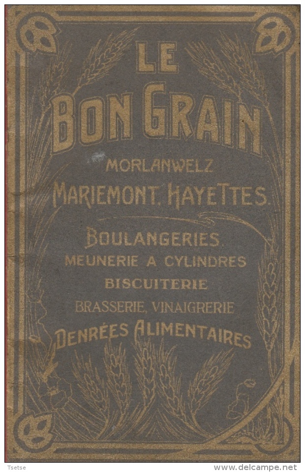 Morlanwelz... Mariemont Hayettes - Livret Social Du " Bon Grain " -1932 ... Nombreuses Photos Des Sites Et Règlement - Morlanwelz