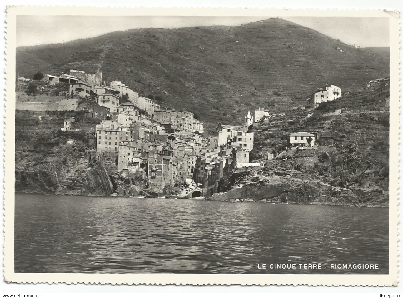 X2433 Riomaggiore (La Spezia) - Cinque Terre - Panorama / Non Viaggiata - Altri & Non Classificati