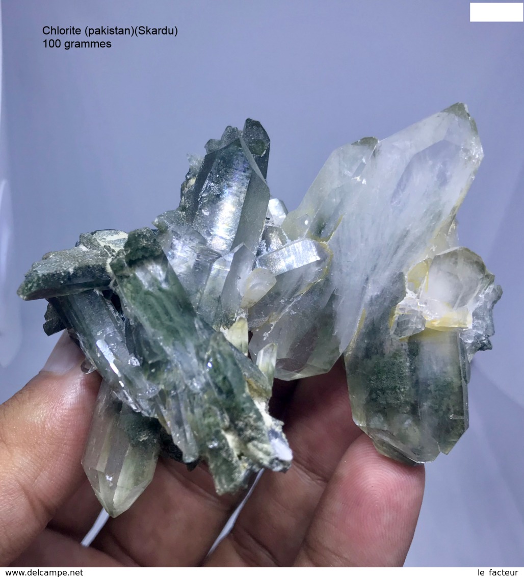 Minéraux Chlorite Du Pakistan Shardaku - Mineralen