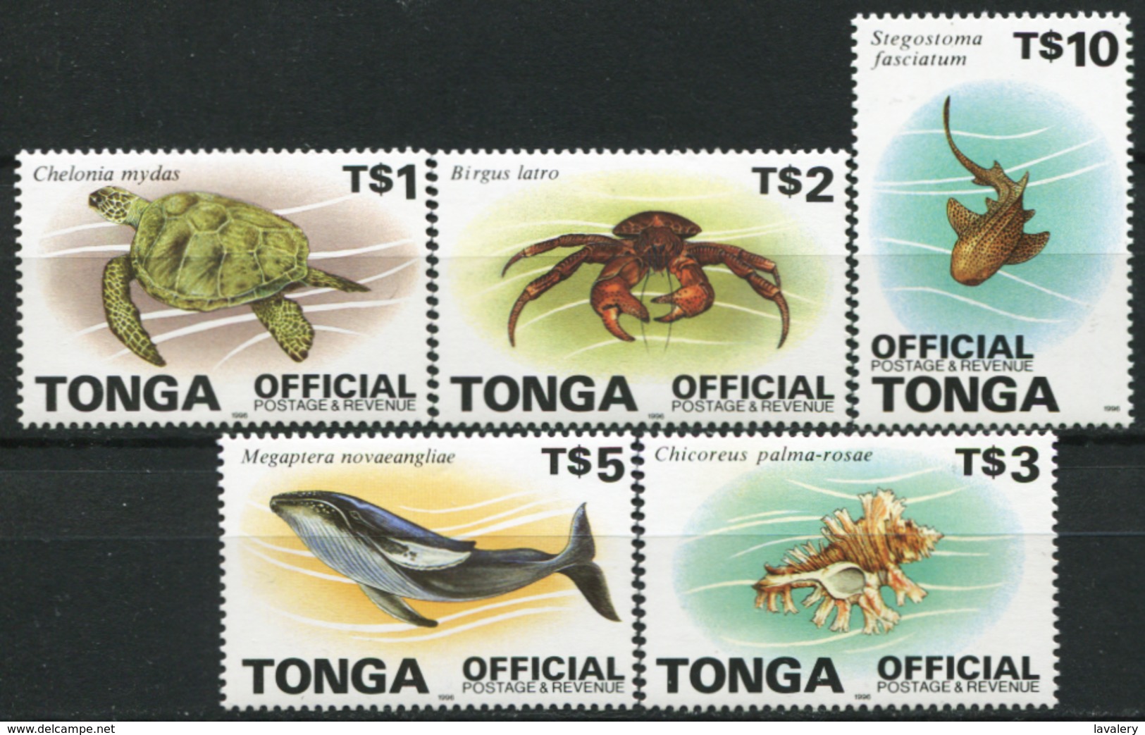 TONGA 1996 Definitives Marine Life Turtle Crab Whale Fauna MNH - Tonga (1970-...)