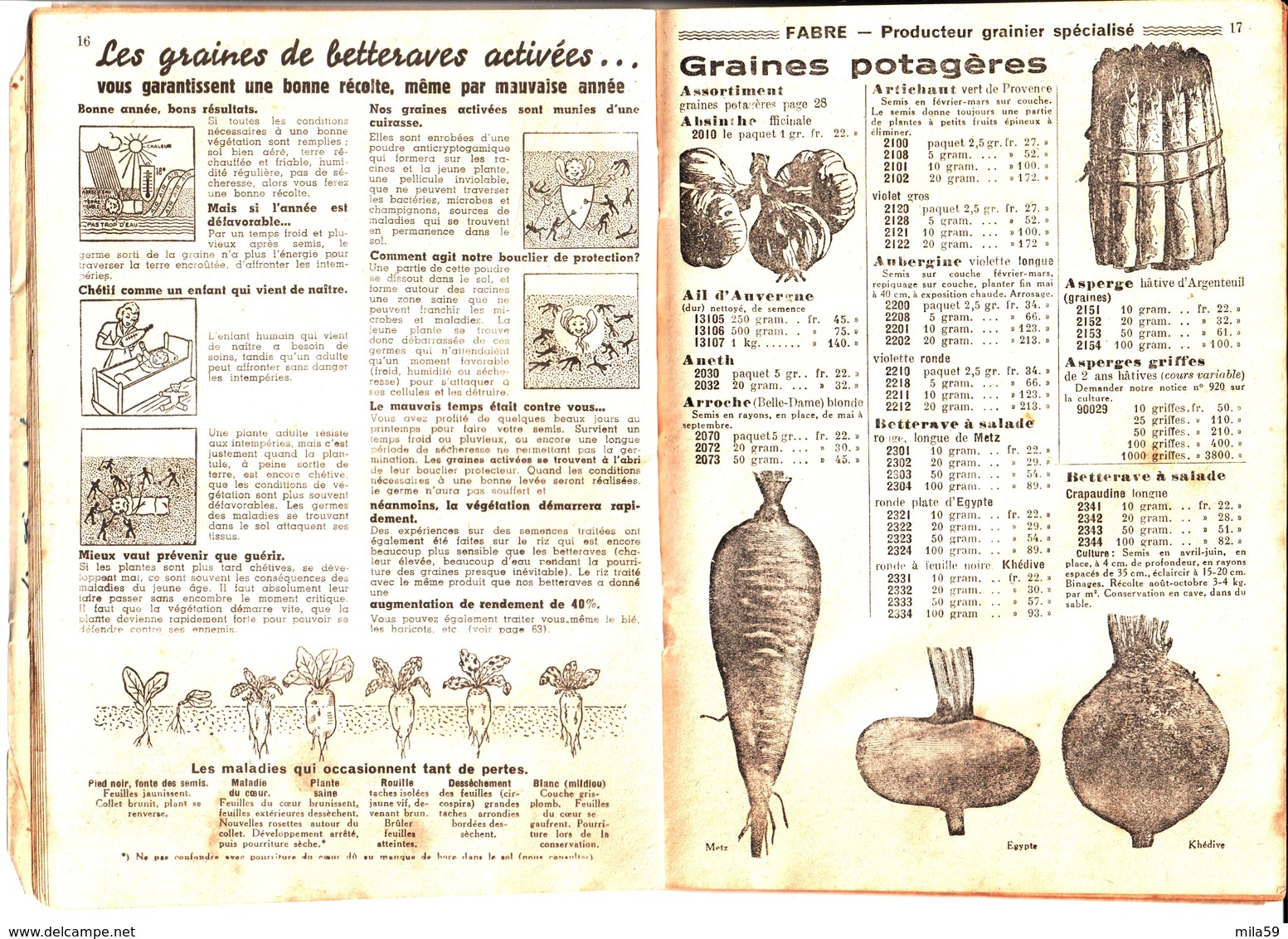 Fabre. Graines. Angers. Catalogue De Graines . 1951. Maison Fondée En 1860. - Autres & Non Classés