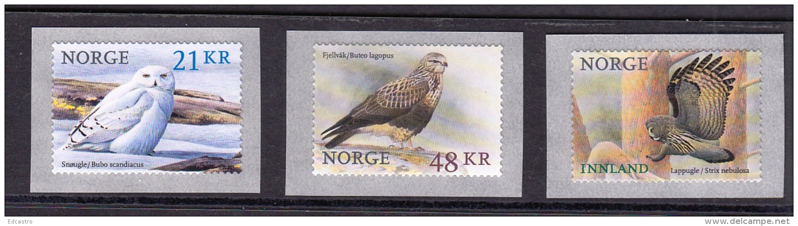 8.- NORWAY 2018 BIRDS OF PREY - Arends & Roofvogels