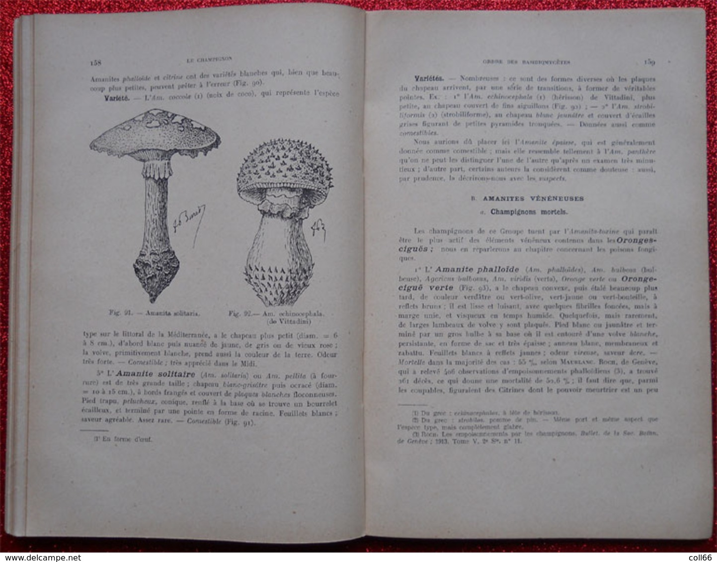 Livre Le Champignon Poison Ou Aliment 1925 Par Dr F.Buret éditeurs Vigot Frères Paris 100 Figures - 1901-1940