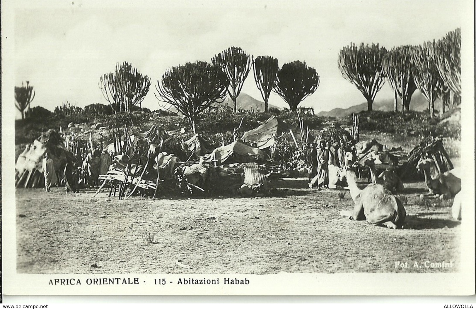 823 " AFRICA ORIENTALE-ABITAZIONI HABAB " FOTOCART ANIM NON SPED. - Etiopia