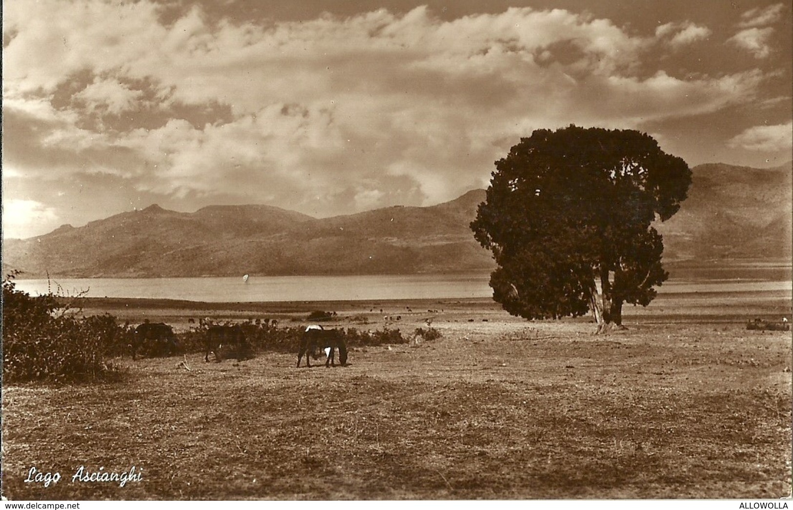 830" LAGO ASCIANGHI (ETIOPIA) " CART  NON SPED. - Etiopia